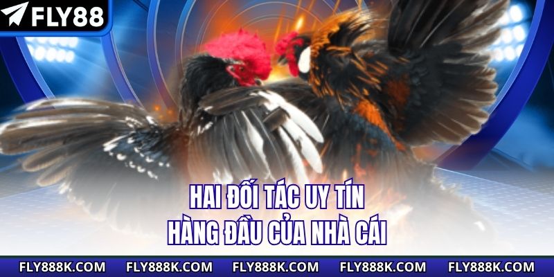Hai đối tác uy tín hàng đầu của nhà cái
